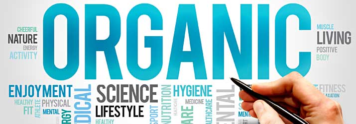 Organic Optimization Tampa Bay