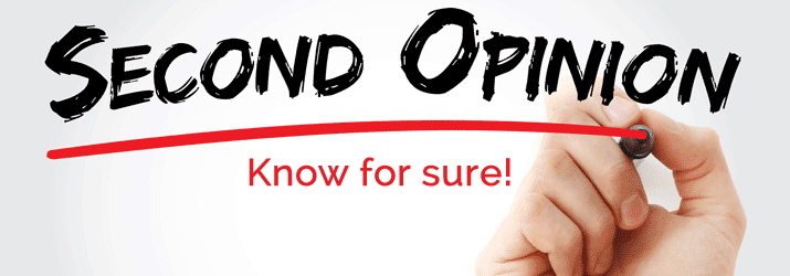 SEO Second Opinion / SEO for Business 